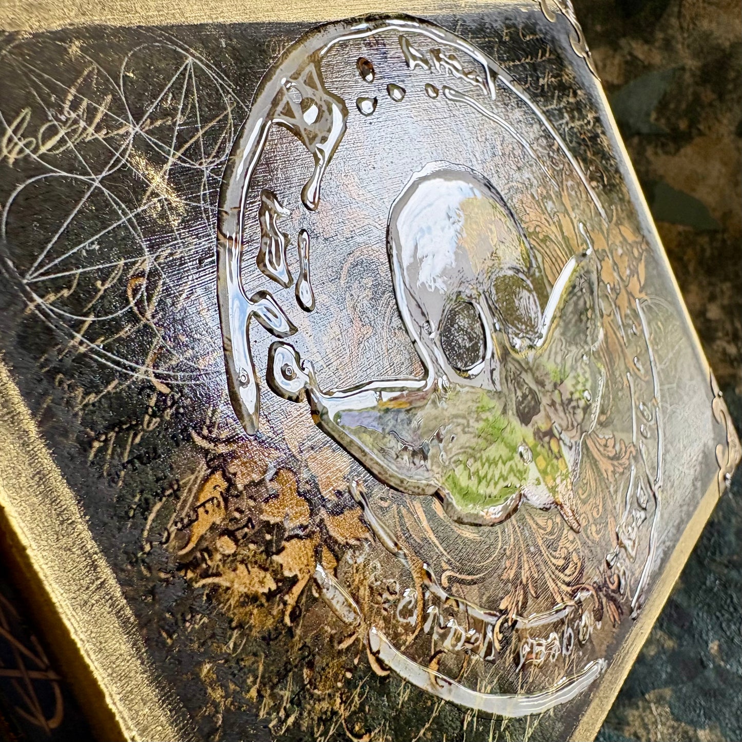 Skull and moth storage box