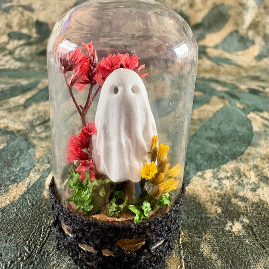 Ghost dome 5.5cm 20